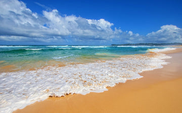 Wamberal Beach