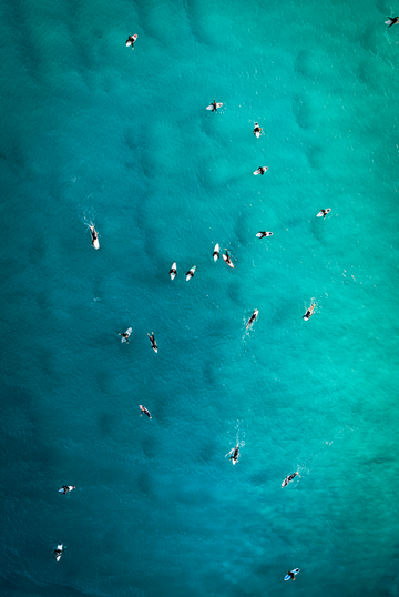 Wave Hunting