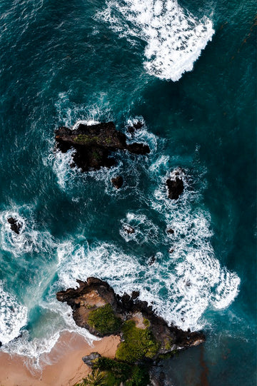 Waves Vibes