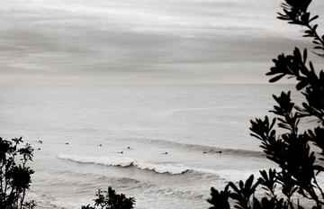 Waves of Warriewood