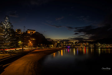 Wellington by night