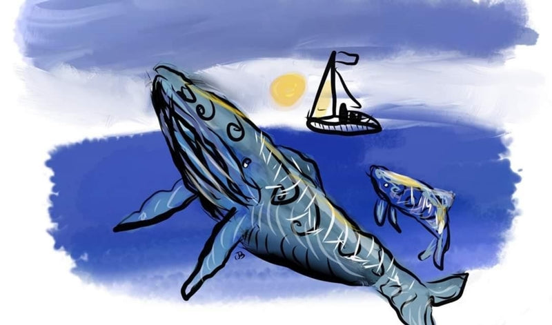 Whale Watching