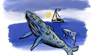 Whale Watching
