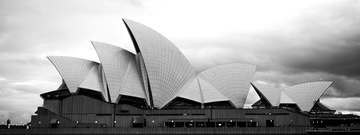 White Sails