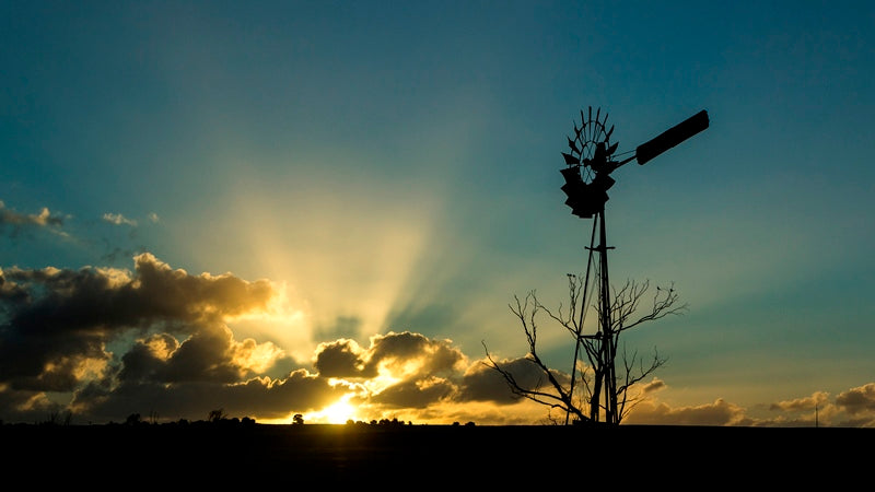 Windmill Sunset