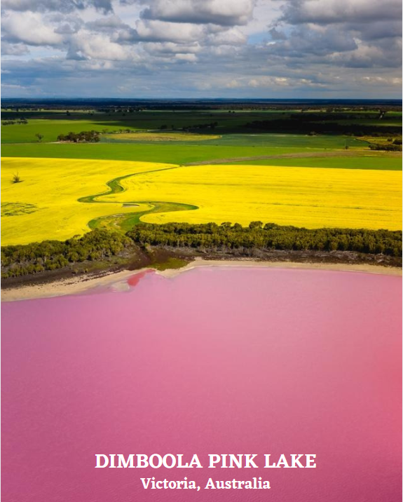 Pink Lake in Australia - The Native Shop