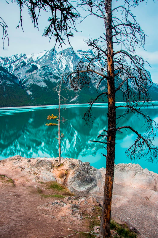 Lake Minnewanka Reflections