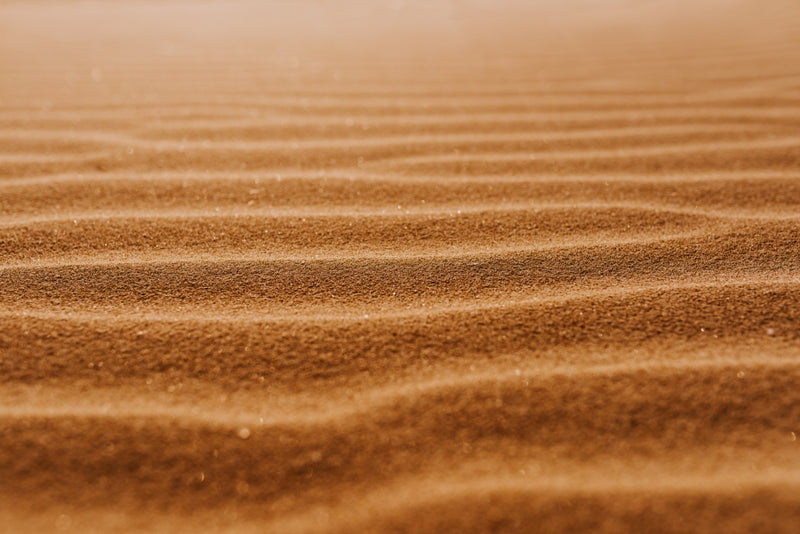 Stories of dunes ~ Lifelines