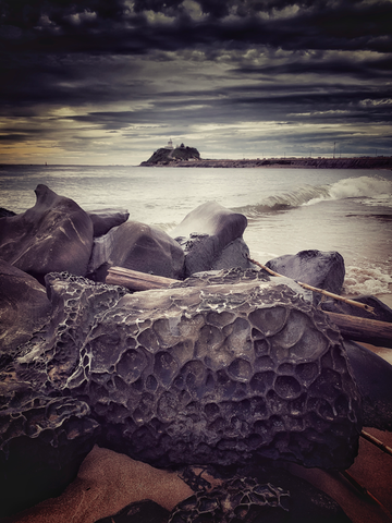 moody horseshoe beach