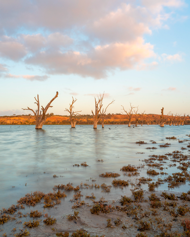 ramco lagoon