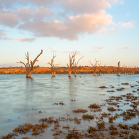 ramco lagoon