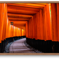 A walk through the Torii gates in the Kinki Region, Japan