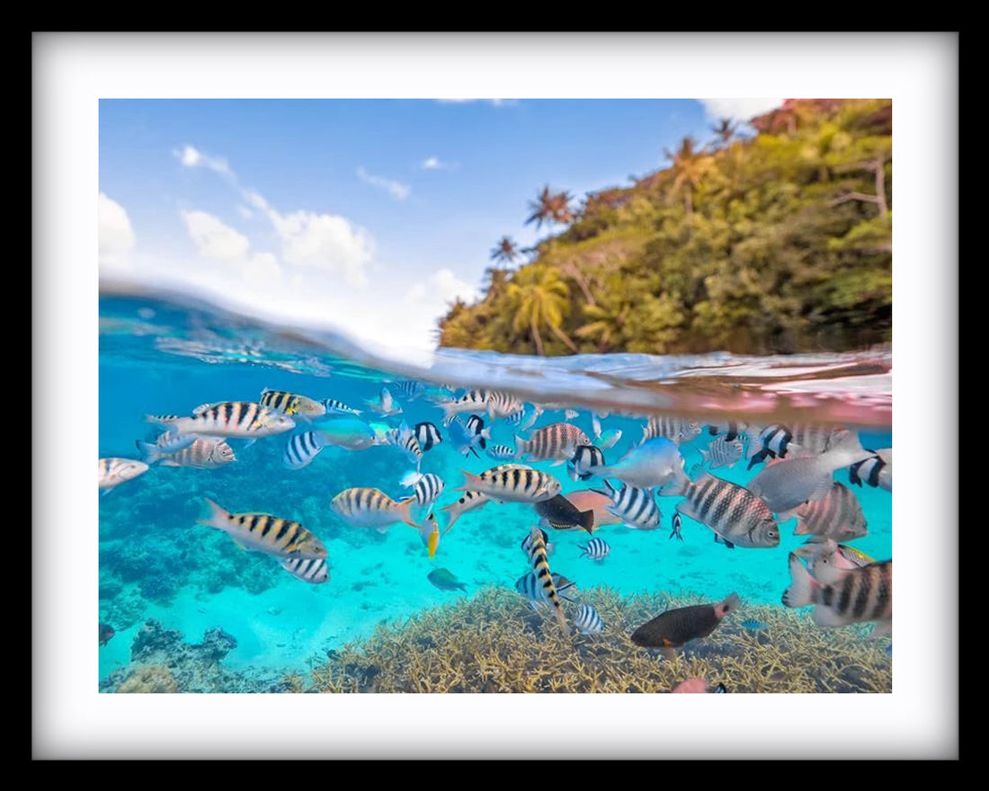 Tahiti Aquarium
