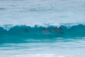 wave riding